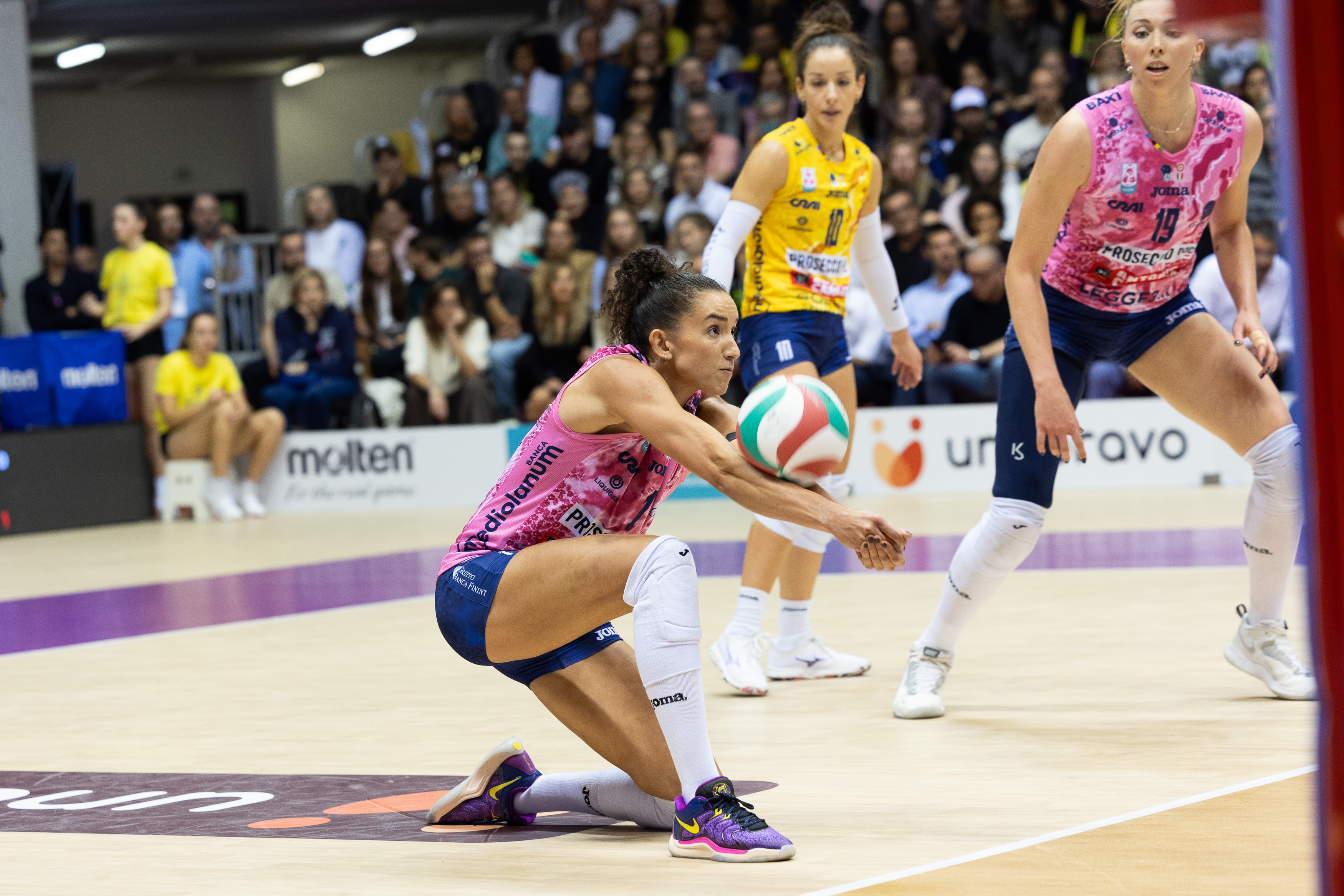 齐里切拉, 主科内利亚, msn 齐里切拉, 主科内利亚, msn